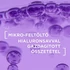 Kép 8/12 - L'ORÉAL PARIS Revitalift Filler HA Nappali Krém (50ml)